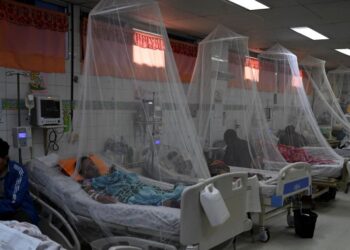 Dengue deja un centenar de muertos en Centroamérica este año