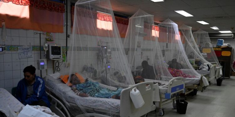 Dengue deja un centenar de muertos en Centroamérica este año