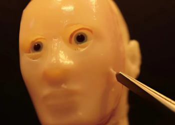 Científicos crean piel viva para que los robots se parezcan más a los humanos