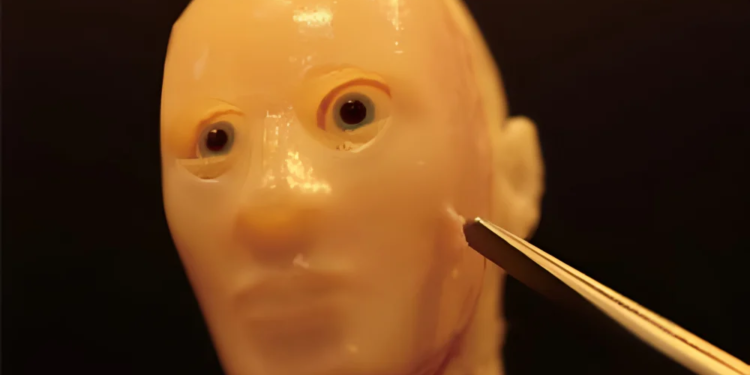 Científicos crean piel viva para que los robots se parezcan más a los humanos