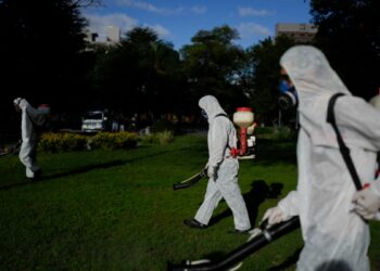 Ecuador reporta 46 muertes por dengue en seis meses y 40.000 casos, casi tres veces más que en marzo