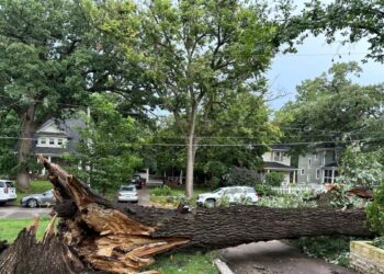 Severas tormentas con advertencias de tornados azotan el Medio Oeste de EEUU, dejan un muerto y miles sin electricidad