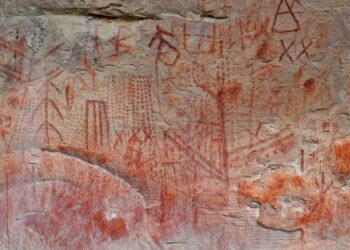 Descubren arte rupestre de 4.000 años en el Parque Nacional Canaima