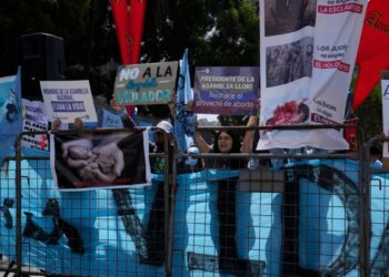 Colectivos de mujeres piden despenalización total del aborto en Ecuador