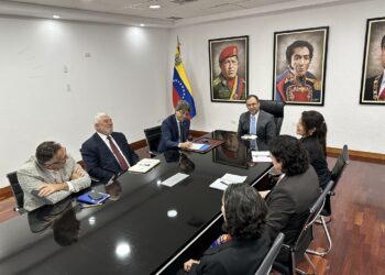 El CNE se reunió con panel de expertos electorales de la ONU