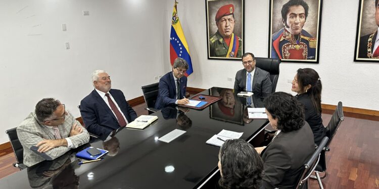 El CNE se reunió con panel de expertos electorales de la ONU