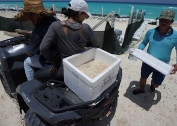 México se prepara ante la llegada del huracán Beryl