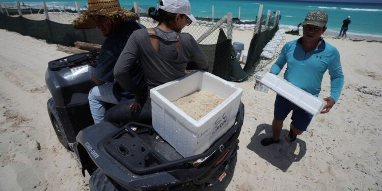 México se prepara ante la llegada del huracán Beryl