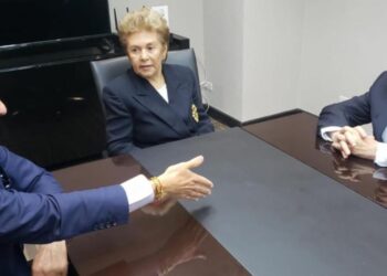 el papel del Grupo IDEA en las elecciones en Venezuela