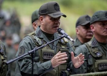 Padrino López sobre elecciones presidenciales: “La FANB estará acompañando este proceso de vital importancia”