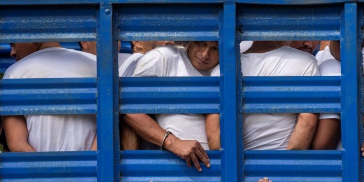 Congresistas de EEUU agradecen a Nayib Bukele por frenar el paso de delincuentes