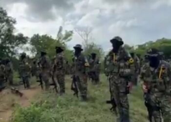 Régimen busca vincular a la oposición con paramilitares colombianos: un nuevo falso positivo