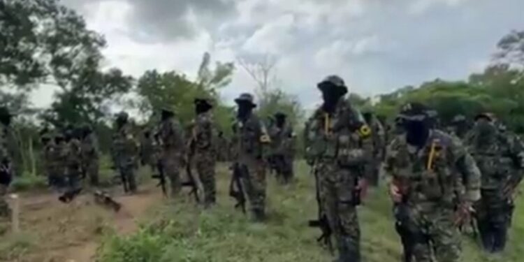Régimen busca vincular a la oposición con paramilitares colombianos: un nuevo falso positivo