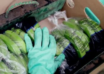 EEUU ve en Ecuador oportunidades para invertir en agricultura, acuacultura y minería