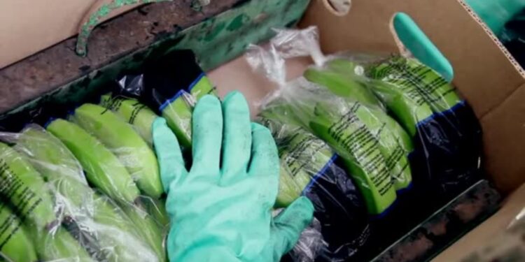 EEUU ve en Ecuador oportunidades para invertir en agricultura, acuacultura y minería