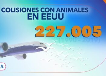Control de fauna silvestre en aeropuerto de Quito ha permitido dispersar miles de ejemplares cada año