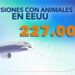 Control de fauna silvestre en aeropuerto de Quito ha permitido dispersar miles de ejemplares cada año