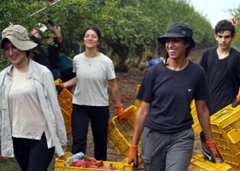 La OIT alerta sobre un bajo índice de empleo juvenil