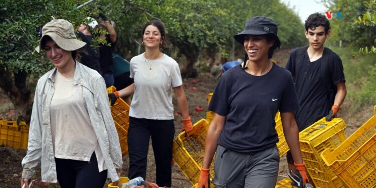 La OIT alerta sobre un bajo índice de empleo juvenil