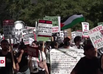 Protestas en Chicago: arrestos y demandas por la paz en Gaza
