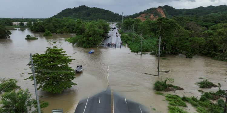 La viruela del mono es declarada emergencia de interés internacional, y las autoridades de la OMS advierten sobre el peligro de contagios.