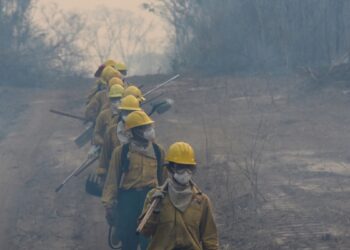 Bolivia enfrenta incendios forestales de gran magnitud y coordina acciones con Brasil