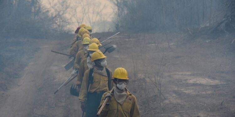 Bolivia enfrenta incendios forestales de gran magnitud y coordina acciones con Brasil