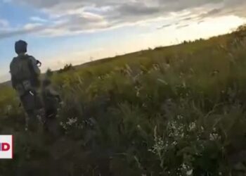 Ucrania afirma haber recuperado áreas ocupadas por Rusia