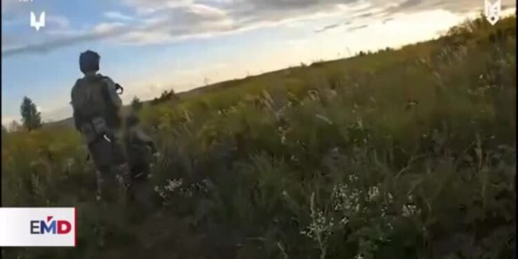 Ucrania afirma haber recuperado áreas ocupadas por Rusia