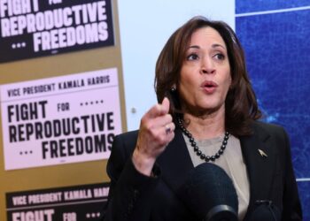 Autoridades en Chicago ultiman detalles para la realización de la Convención Nacional Demócrata que se inicia el lunesy durará 4 días.