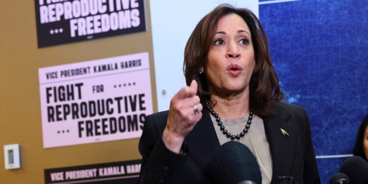 Autoridades en Chicago ultiman detalles para la realización de la Convención Nacional Demócrata que se inicia el lunesy durará 4 días.