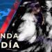 Huracán Debby toca tierra en la costa de Florida, Estados Unidos