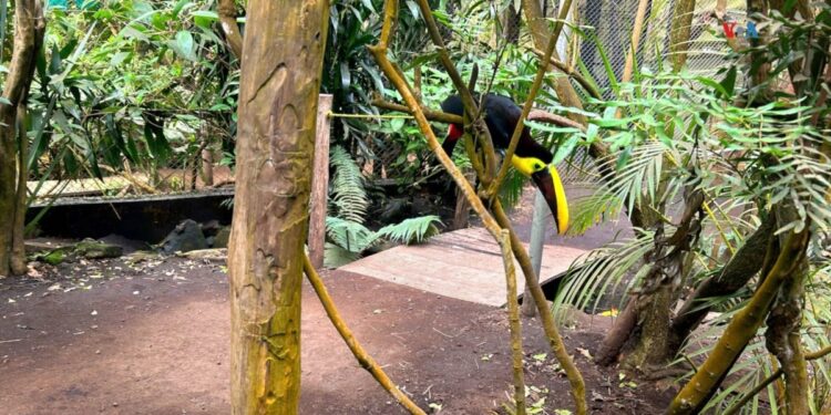 El gobierno de Honduras inicia hoy el controversial  proceso para construir una cárcel en Islas del Cisne