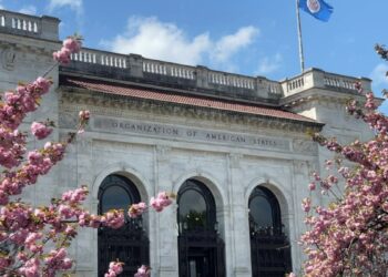 ¿Por qué la OEA está tan dividida sobre Venezuela?  