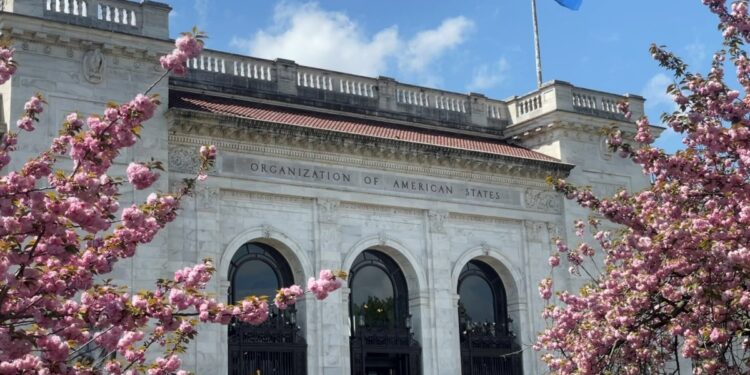 ¿Por qué la OEA está tan dividida sobre Venezuela?  