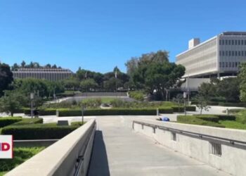 Sistema universitario de California adopta nuevas reglas sobre protestas