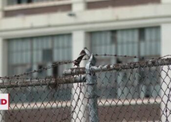 El “Cinturón del Óxido” por el que avanzan Harris y Trump