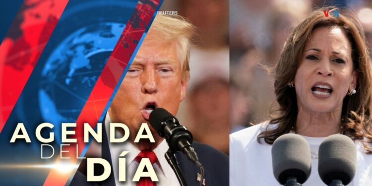 Trump y Harris, candidatos a la presidencia de EEUU, debatirán en septiembre