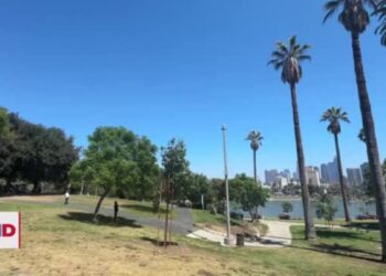 Los Ángeles registra aumento de casos de COVID-19