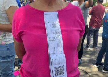 El proceso electoral en Venezuela avanza en su verificación en el Tribunal Supremo de Justicia