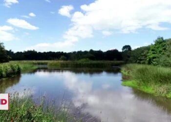 Bogotá busca proteger sus 17 humedales