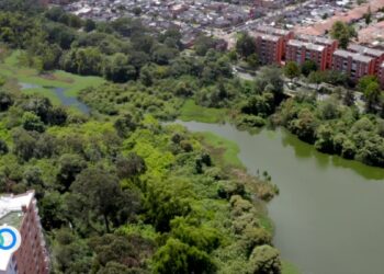 Un tesoro “escondido” de la biodiversidad acuática y terrestre de Bogotá