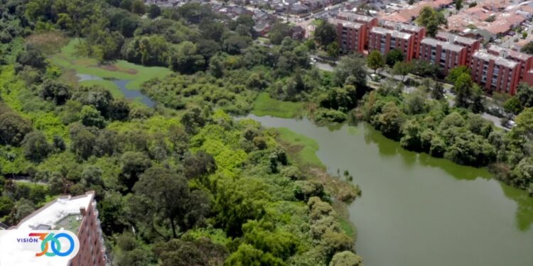 Un tesoro “escondido” de la biodiversidad acuática y terrestre de Bogotá