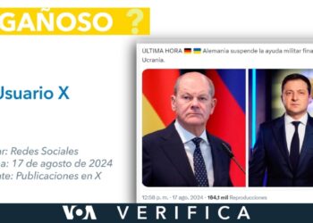 Es engañoso que Alemania suspendió la ayuda militar financiera a Ucrania