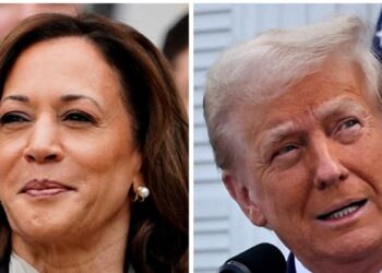 Trump y Harris recorren estados indecisos durante feriado en EEUU