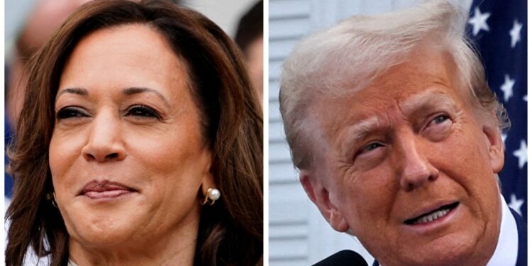 Trump y Harris recorren estados indecisos durante feriado en EEUU