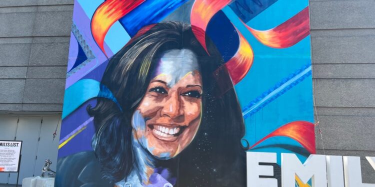 La Convención Nacional Demócrata dio un gran impulso a los delegados y ahora van en busca de votos