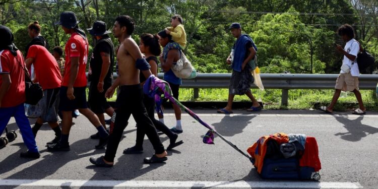 Caen considerablemente las entradas ilegales por la frontera sur de EEUU