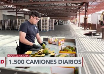 La incesante búsqueda de drogas en cargamentos de frutas en Arizona