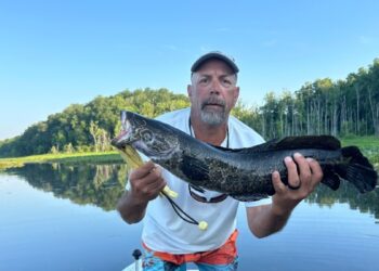 Pese a advertencias, pez cabeza de serpiente, asesino e invasor, no ha devorado a la competencia